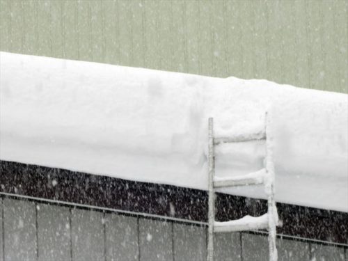 屋根に積もった雪（１２月２１日）